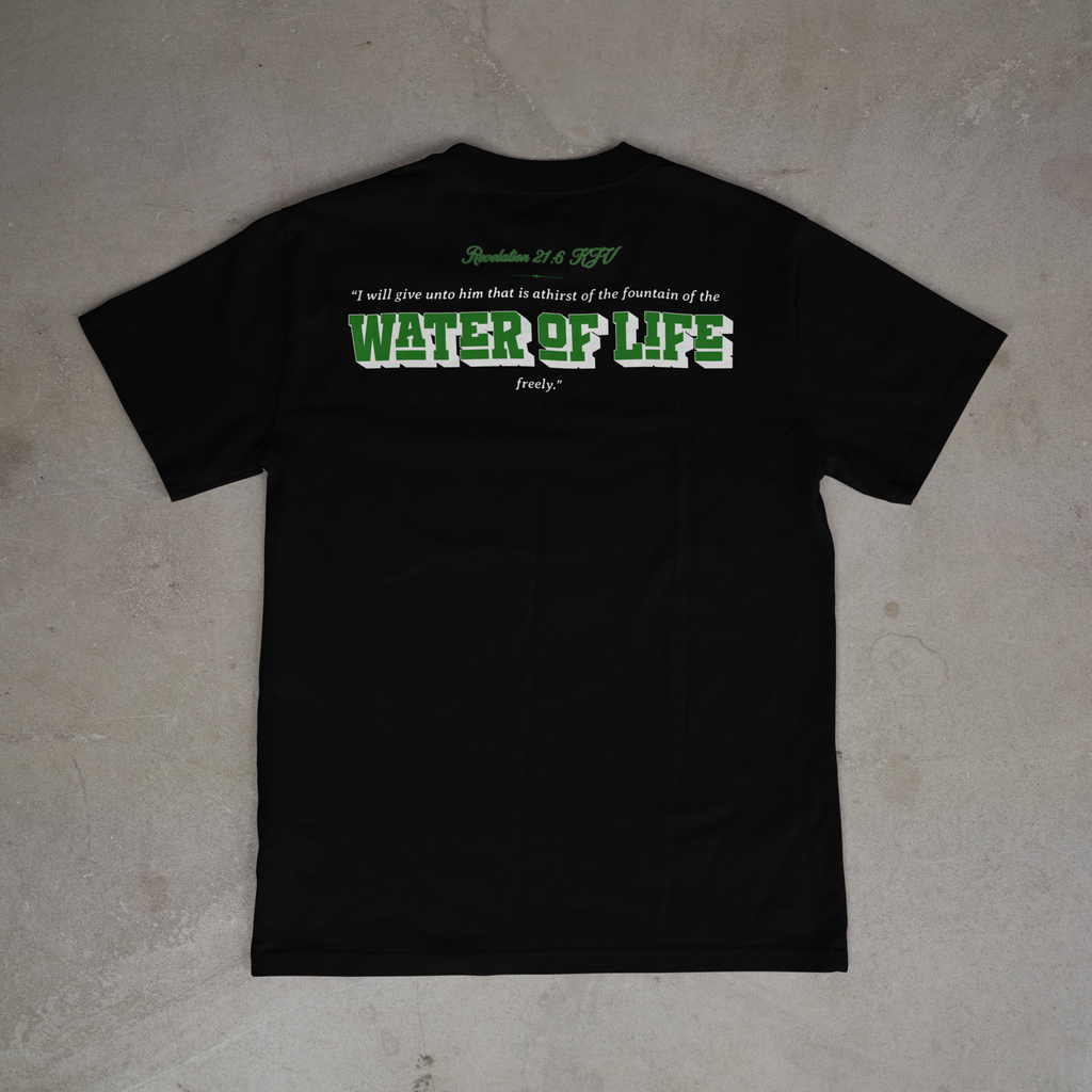 Water of Life tee (black)